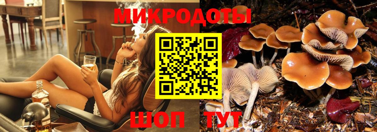 Каменск-Шахтинский  Псилоцибиновые грибы Cubensis  купить наркоту  Вход с VPN 