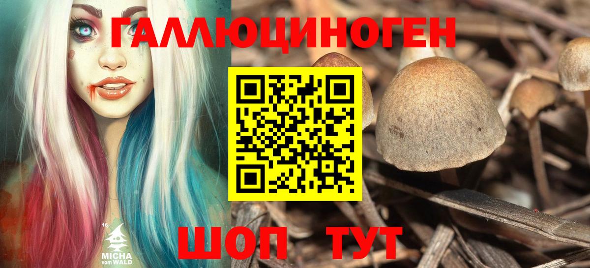 Галлюциногенные грибы ЛСД Каменск-Шахтинский